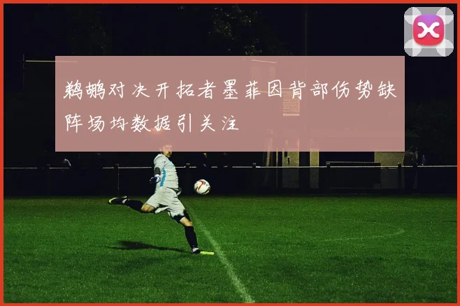 鹈鹕对决开拓者墨菲因背部伤势缺阵场均数据引关注