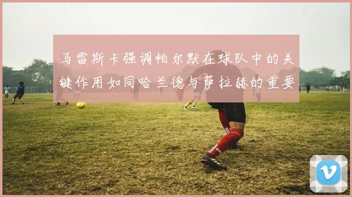 马雷斯卡强调帕尔默在球队中的关键作用如同哈兰德与萨拉赫的重要性