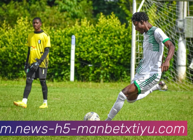 万博体育平台生态图